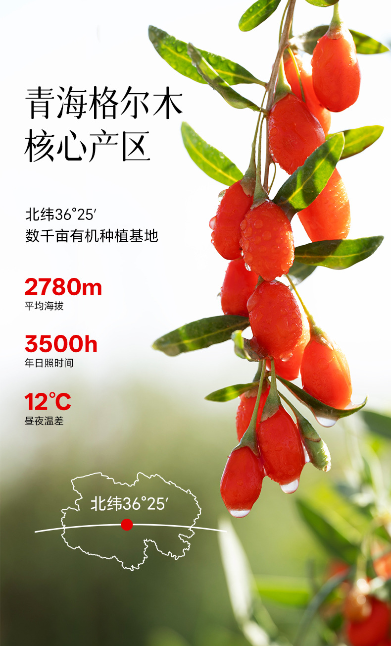 Organic Goji Berry Dried Fruit 240g Premium Grade Ready to Eat Resealable Pouch quality and texture