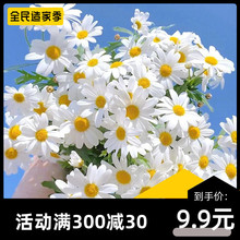 �������ػ����ļ����N��ľ�����M�ڴ����̨ͥԺ�ջ��������طN��