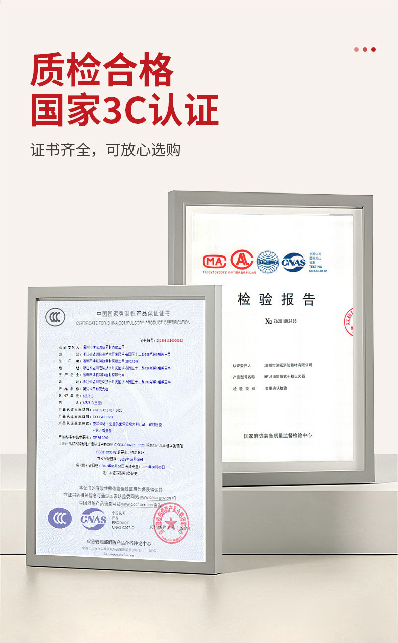 Flame Warrior Car Fire Extinguisher Car Fire Inspection 21B Mini Portable Dry Powder Fire Extinguisher