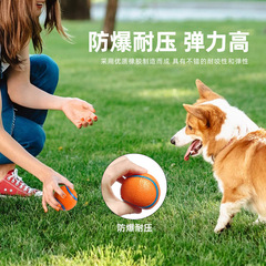 ペットのおもちゃのボールは歯ぎしりします。