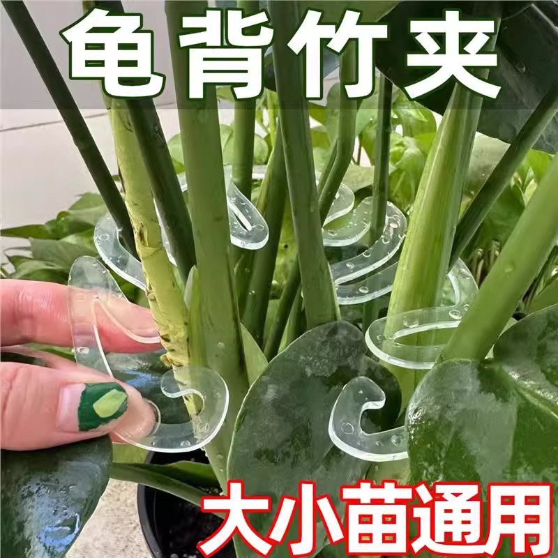 龟背竹支撑杆龟背支架花支撑架枝干收拢夹防枝干绿竹固定花架批发