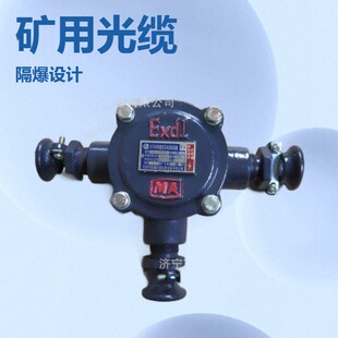 ������ͨBHD2-40/380(660)-3T�V�ø����͵͉���|�Ӿ���