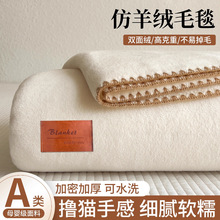 që̺Ӻk˯̺ɺqС̺ӿ{ɳlw̺