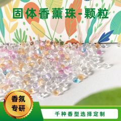 香珠消臭消臭消臭空気浄化eva香珠顆粒香粒子香袋香嚢香薫精油香包