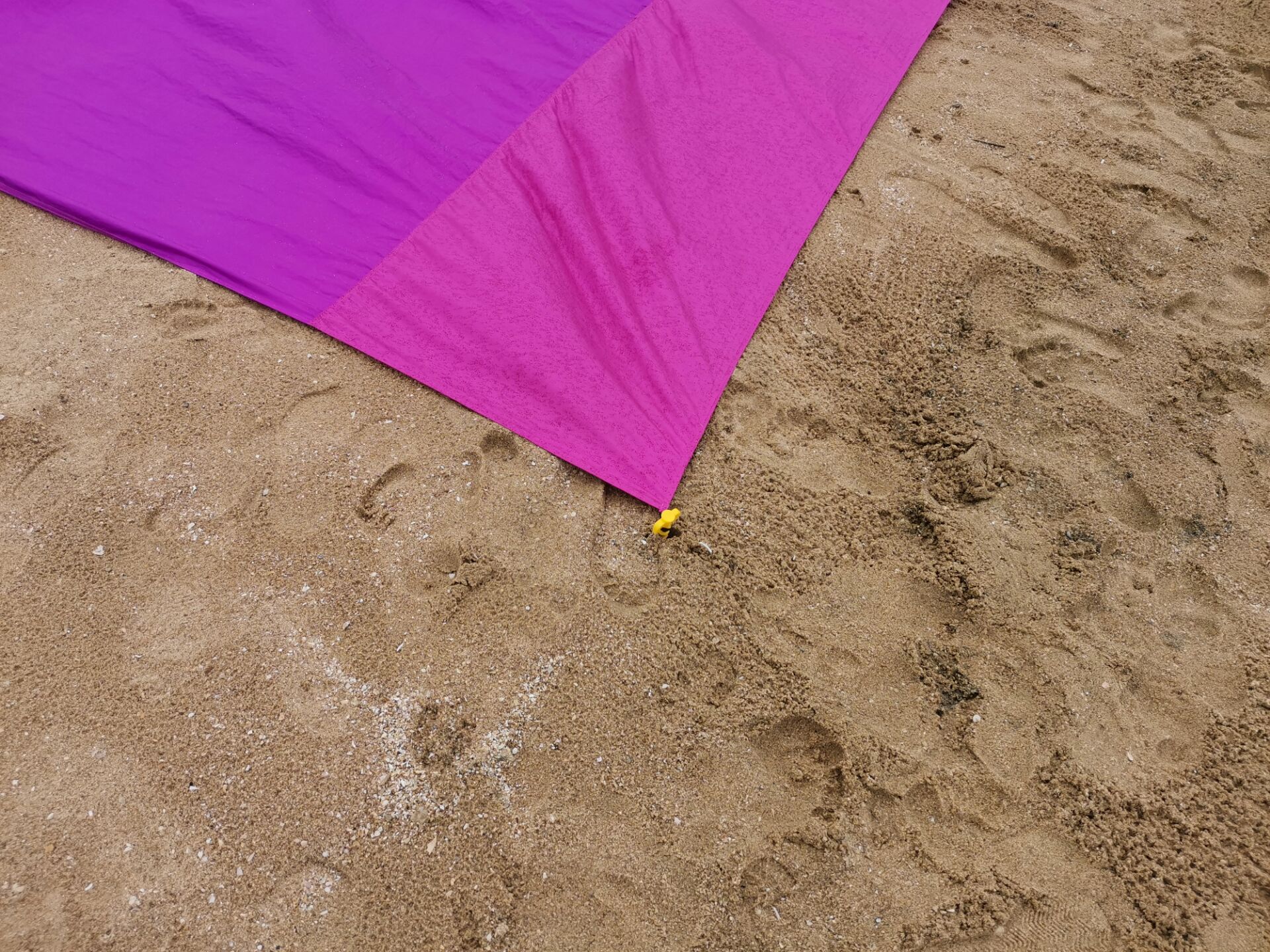 QQ图片20210712100227