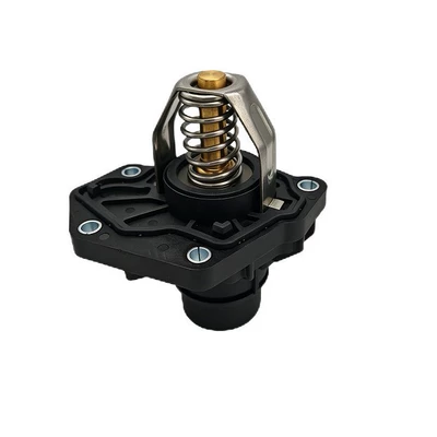 Thermostat suitable for Buick