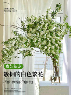 ѩ���r���r֦ˮ�B��֧ˮ���r�л����廨�ܸ�֦�҃ȿ�ľ�괺�Gֲ��