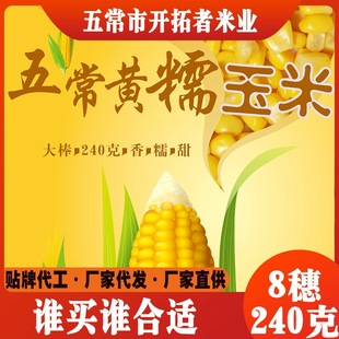 2025��|���SŴ����ÿ��10���b5С�r�i�r��հ��b�S��ֱ�l