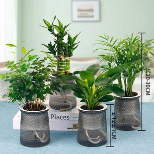 ���I����һ��������lؔ��������荸��F������Ҭ�ӾGֲ��������