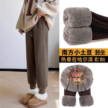 冬季加厚加绒裤子女外穿羊羔绒运动裤2025新款一体绒东北保暖棉裤