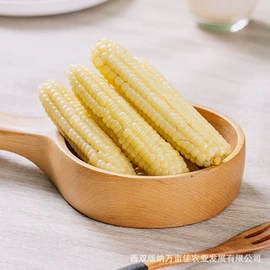 玉米;农副产品加工