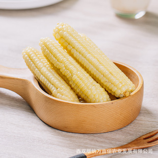 Դ�^���Sֱ�l������p��{ĴָС��������i�r