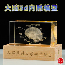 水晶激光内雕人类大脑3d模型摆件医院研学学术交流活动纪念品