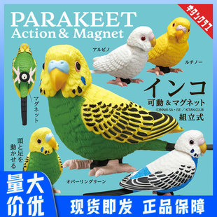 In-Stock Japanese Authentic Kitan Movable Parrot Bird Figurine Capsule Toy