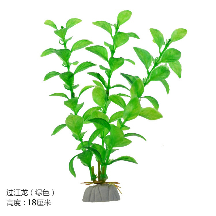 O1CN013HmLIQ1KVtxXmcjml_!!1035