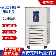 瑞力厂家低温冷却液循环泵DLSB-5L/20实验室低温冷阱冷却水循环机