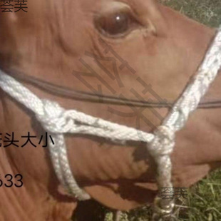 �R�\�^���{��С�Ӻ��D���P��Qˮţ��ĥ�����ţ�Kţ�����½�����