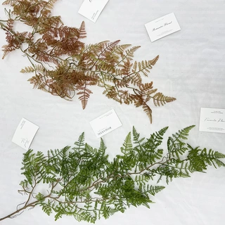厂家直销高枝植物小清新绿植蕨叶花韩系婚庆装饰家居装饰塑料假花