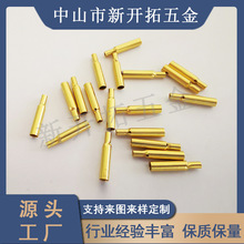 �չ��T5T8�~�׃ɹ��~���~�ĸ�����ĸ���S�~��ĸ����B����