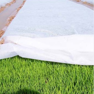 pp无纺布厂家农用30克大棚育苗覆盖薄膜仿粘水稻育秧农用覆盖保温
