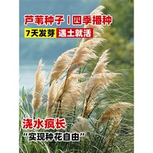 �JȔ�N���JȔ�ݷN���ͺ��������޸����у���ˮ�|�����o�����ݷN��