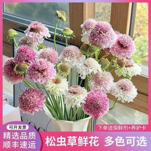 ���x���r����������r��ֱ�l�r�л�ĸ�H�������c�r���[�ؔ��r��