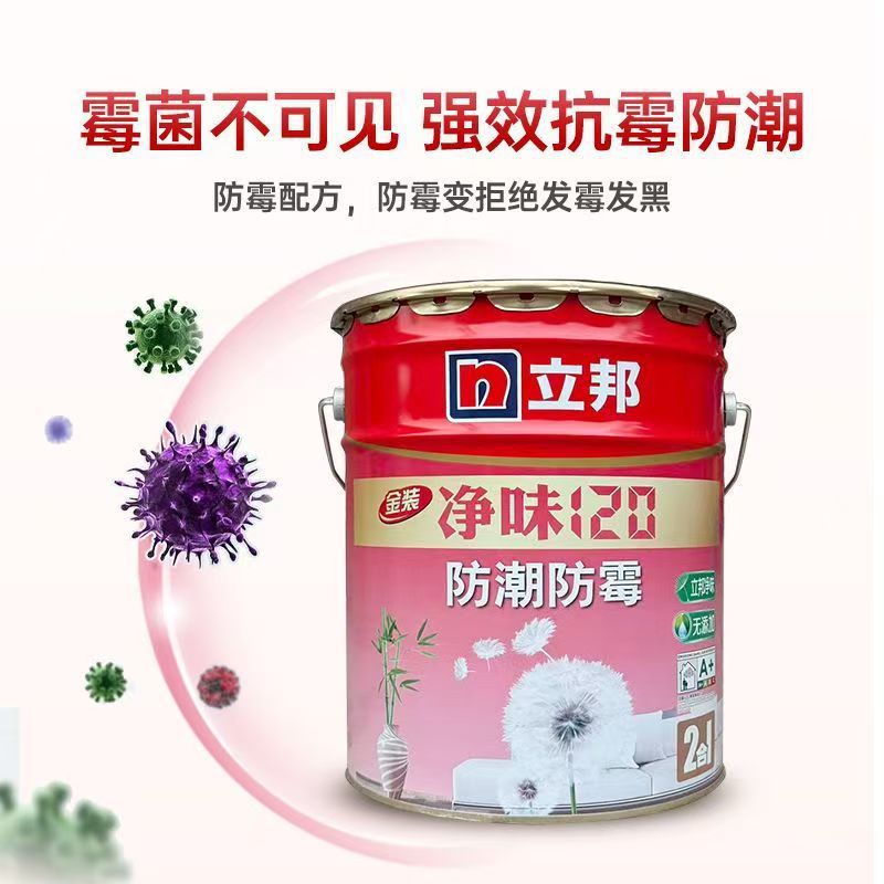 Nippon Paint Clean Flavor 120 2-in-1 5L18L Interior Wall Latex Paint Interior Home Wall Self Brushin