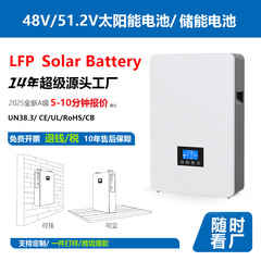48V壁掛け式家庭用貯蔵リチウム電池太陽光発電貯蔵システムリン酸鉄リチウム12v太陽電池
