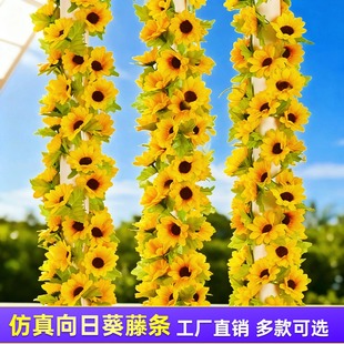 �羳�������տ��ٗl̫ꖻ����콁�����ϼٻ������b��Sɫ�G�~���h