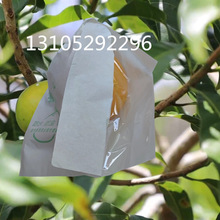 �ƾ����״����������������ƽ��ţ�̹�����Ҭ����
