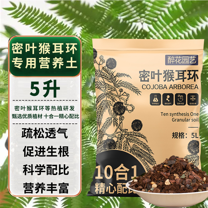 Bông tai khỉ lá dày đặc mười trong một đất đặc biệt 5L