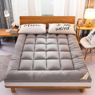 Mattress Soft Cushion Does Not Collapse Factory Wholesale Velvet Mattress Thickened Hotel Tatami Four Seasons Mattress Mattress Independent Station
