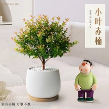С�~��骽�z�ľ�����҃ȾGֲ����ֲ���辰������B���ļ�����