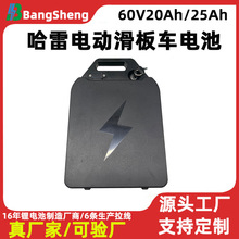哈雷大型电动滑板车电池60V20Ah25Ah电动车锂电池手提两轮可折叠