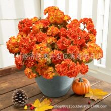 亚马逊temu跨境平台批发仿真秋色海棠花天竺葵丝花源头实力厂家