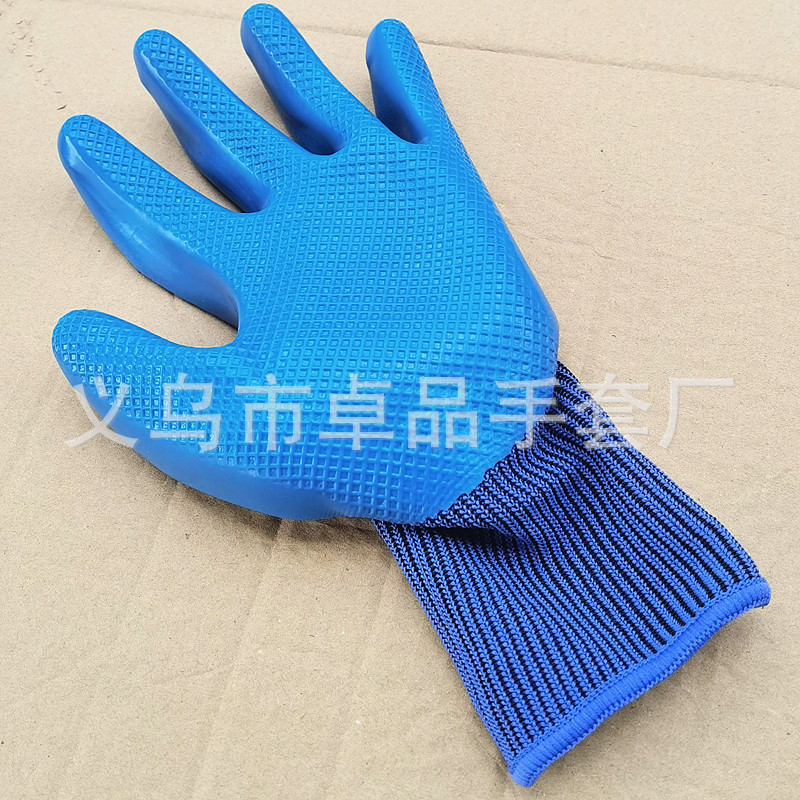 IMG_20240912_120523_副本