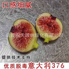 �����o��������������԰ń���С���绨�@ˮ��ͥԺ�̨�������