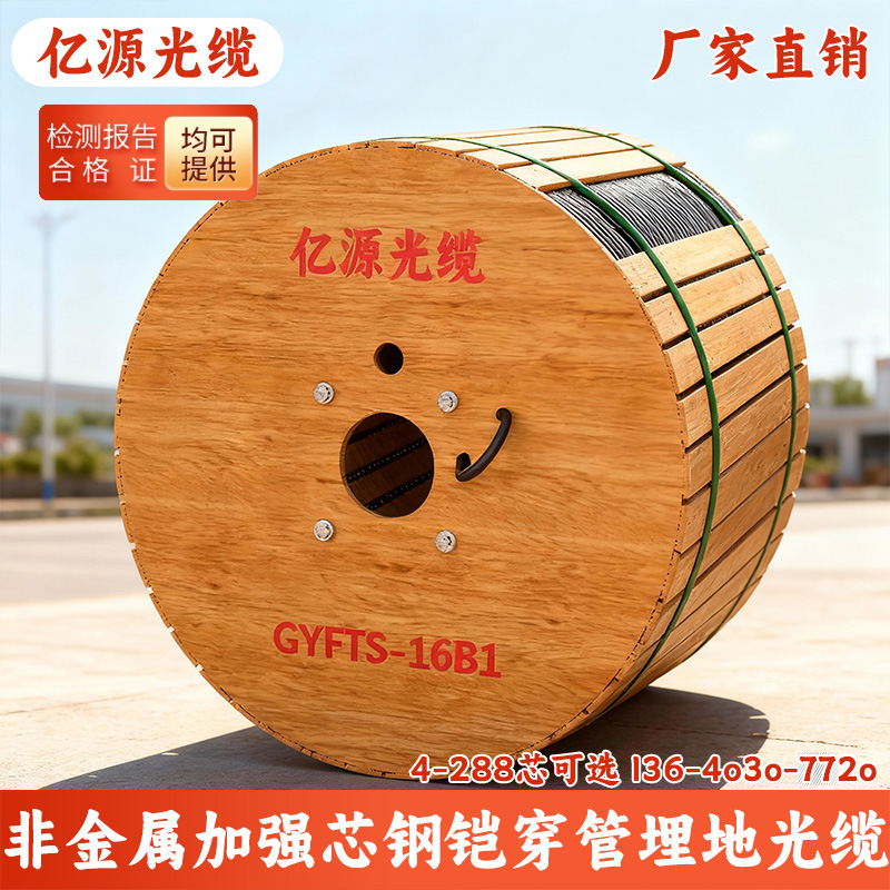 Gyfts-12B1.3 Non-Metallic Armored Optical Cable Gyta53-36B1/48B1/24B1 Core Single Multi-Mode Fiber Optic 7