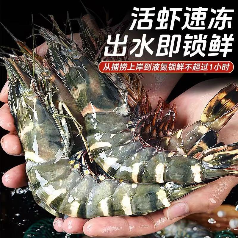 黑虎虾超大新鲜大虾老虎虾鲜活老虎虾速冻海鲜竹九节虾商用批发