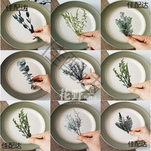 ��Ұ��֧|���D÷����ǧ�ӽ��������ɻ�diy���ϰ��Gɫ���~ֲ��˱�