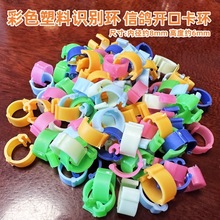 信鸽足环 鸽环 鸽具 足圈 脚圈/塑料识别环 标记环 卡环 记号环