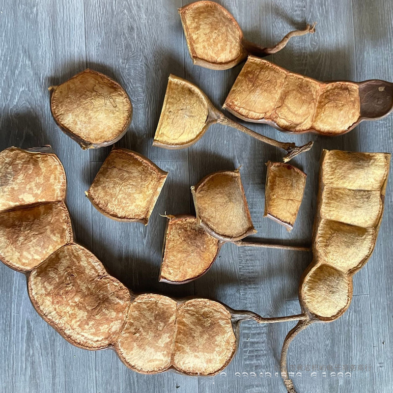 Yunnan Keting Soybean Pod Dolls, Handmade DIY Rural Dolls, Dried Flower Materials, Guojianglong, Hot-Selling Yunnan Keting Soybean Pod Dolls, Handmade DIY Rural Dolls, Dried Flower Materials, Guojianglong, Hot-Selling