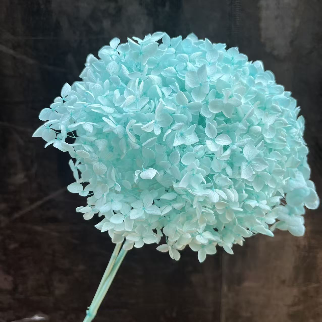 Flores eternas hortenida flores secas Anna hortenida hojas hortenida cabeza de hortenida flores eternas cubierta de vidrio material ramo diy