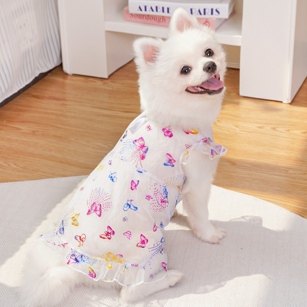 Los gatos domésticos pueden salir con amor, vestidos de verano, suministros para perros, ropa para perros Corgi, ropa para perros