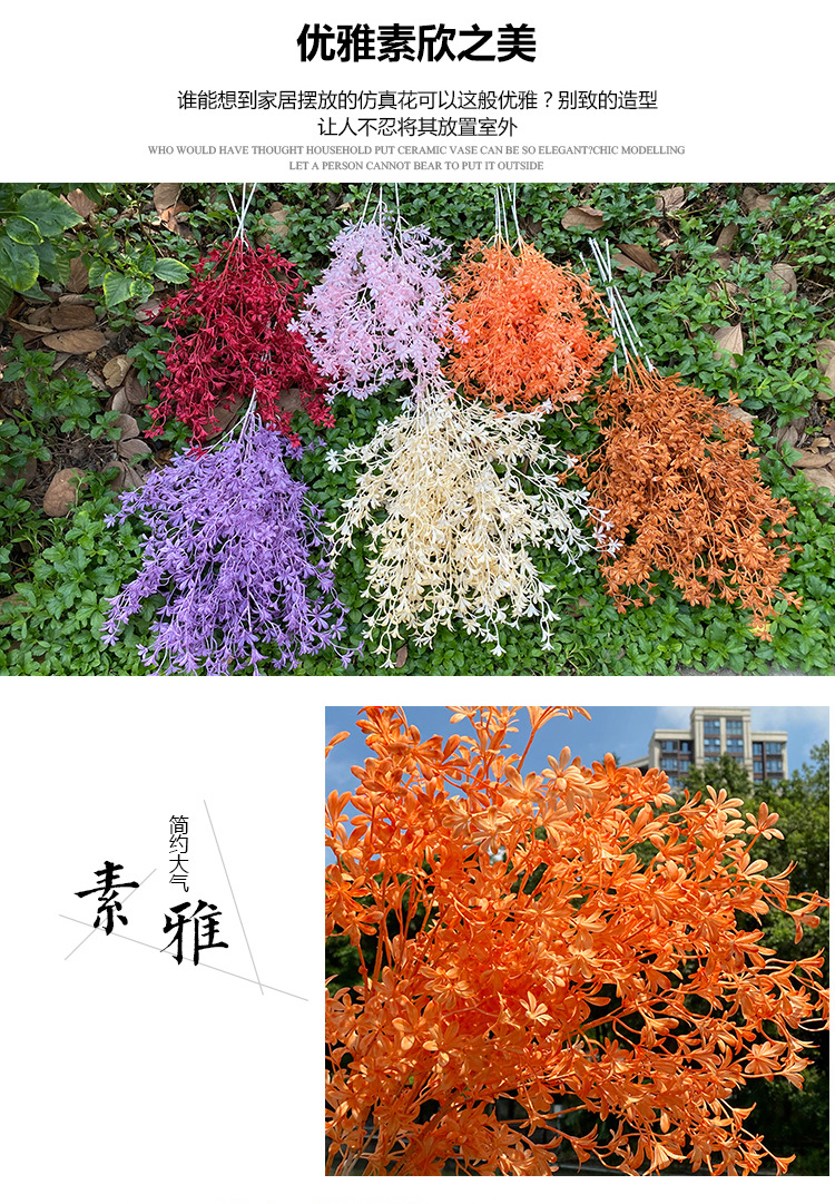 文心兰_03.jpg