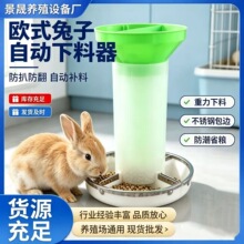 欧式兔子自动下料器兔用防扒食槽不锈钢包边兔粮食器养殖专用批发