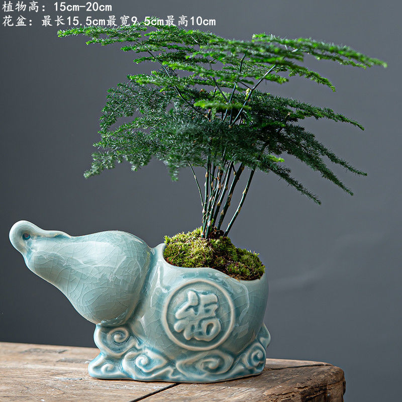 게야오 조롱박 블루 + 아스파라거스