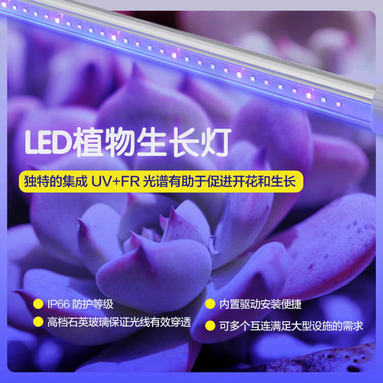 室内植物增色补光灯UVA紫外线植物生长灯大棚花果蔬菜花期照明