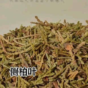 ����ș�I ���l�Ȱ��~ ��ș�ĂȰؚ��~ ��؛