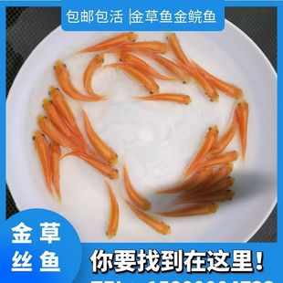 ���|���_˹����~����w���]��z���~�� ��ɫ���~�t���~��ˮ�Bֳ